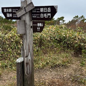 こちらの道を行くと巻機山へ繋がってる。
ただし、あまりイイ道ではないようです。