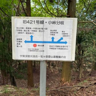 砂山に行く時迷った。