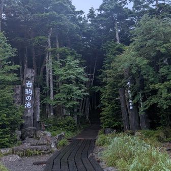 観光で一度来たことがありましたが当時の私は登山に1ミリも興味なし…感慨深し