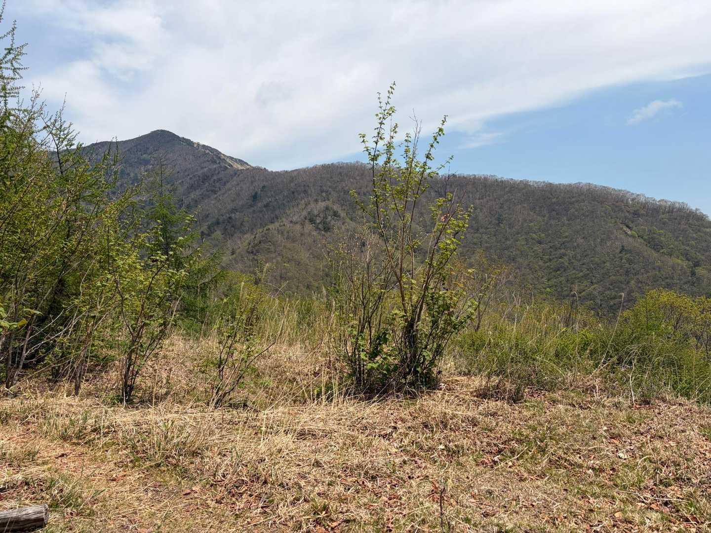 前袈裟丸山
前回あっちの尾根歩いたなぁ〜！