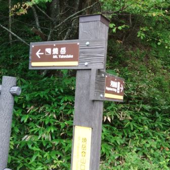 焼岳登山口
お疲れ山
長い平らな道が続く