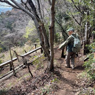 さらに奥に進んで…秘密のお座敷へ

次はおべんと持ってお邪魔しまーす♪