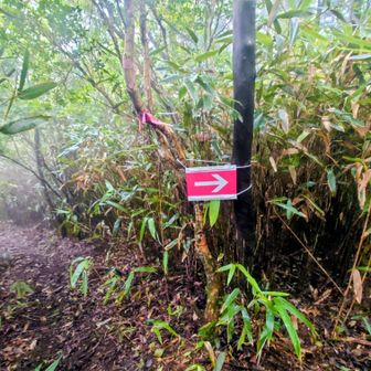 二ノ峯への分岐からはコースを外れ、ポッンと冠ヶ岳を目指します👣