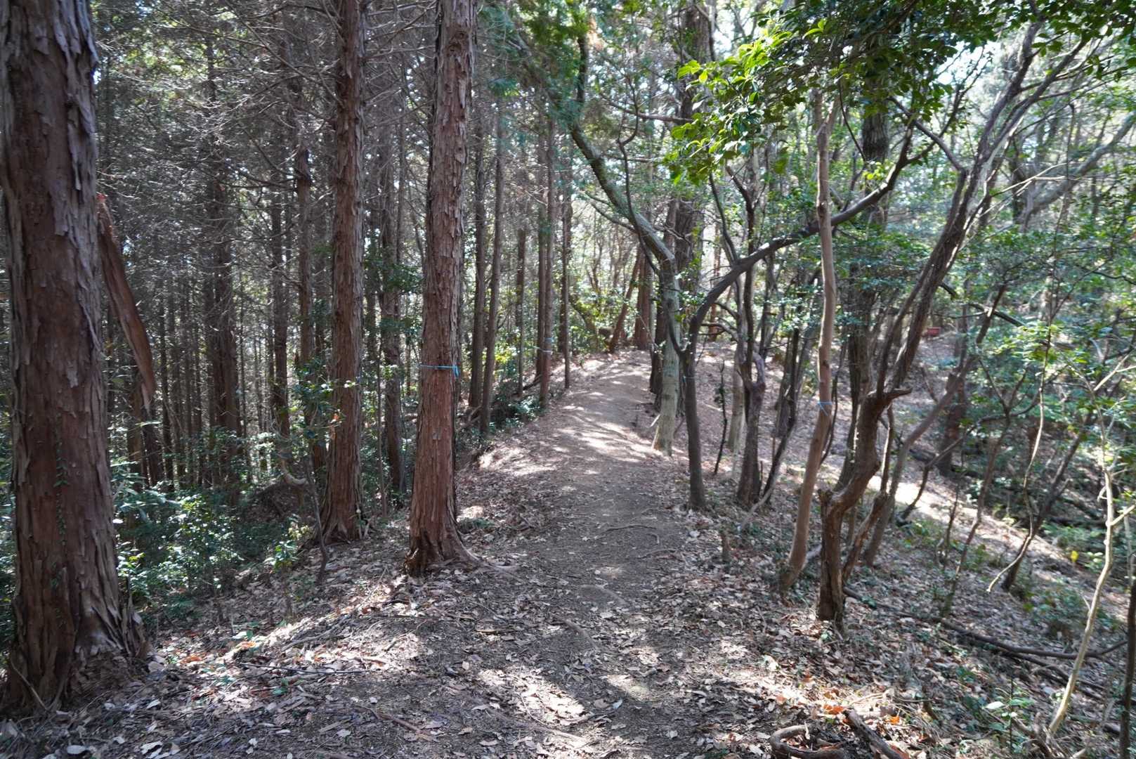 沼八幡宮-赤子山登山口-赤子山 往復コースの写真