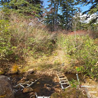 1つ目の橋、梯子の右手前が沈むので気を付けましょう
左足から梯子へ踏み出すと大丈夫