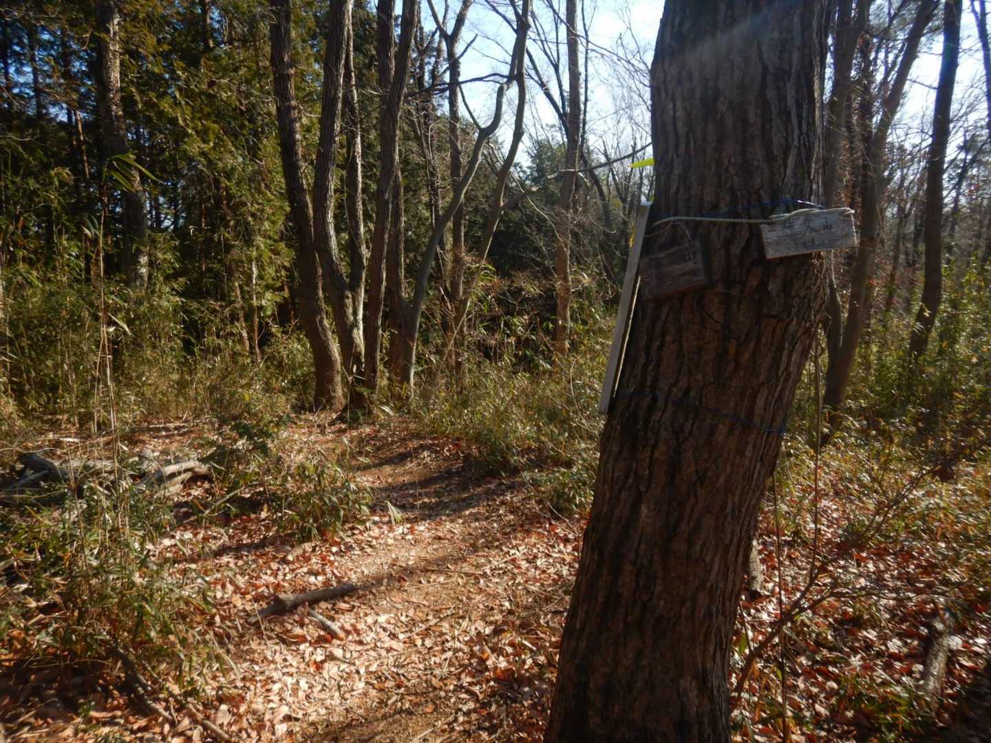 天覧山-多峯主山 周回コースの写真