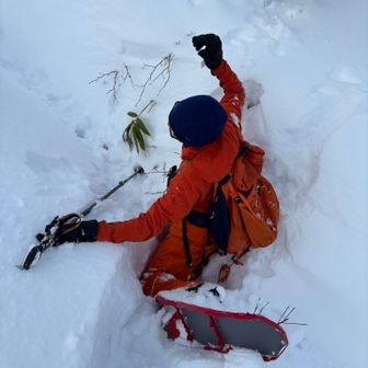 ハマって抜け出せなくなってる🤣
手引っ張って助け出す事2回