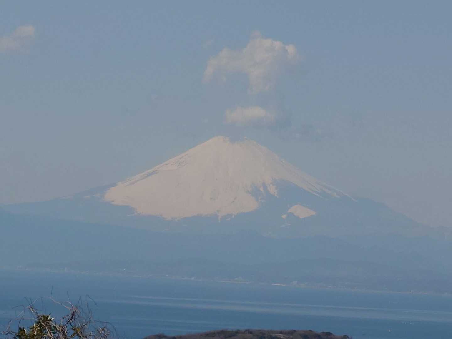 大楠山 往復コースの写真