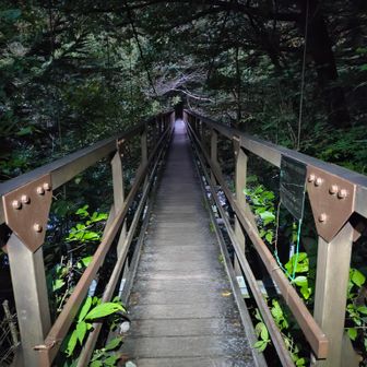 これがあの有名な橋…
このあといちいち感動していくことになる。