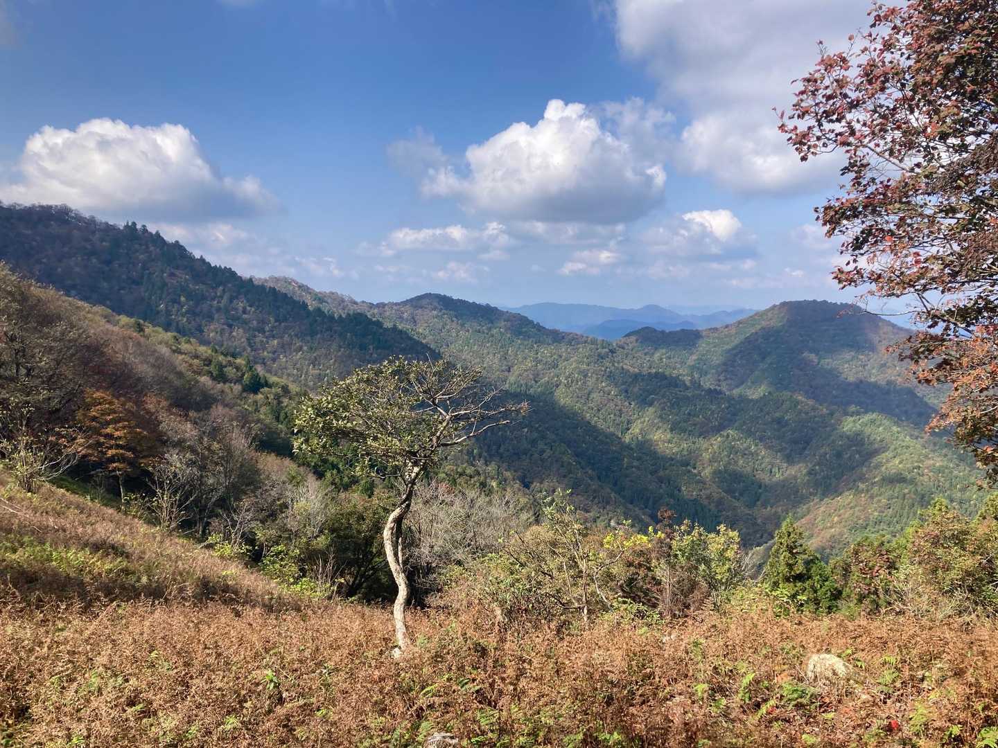 横尾峠-頭巾山 往復コースの写真