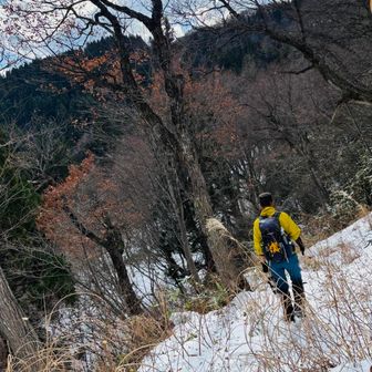 イノシシロードの
ショートカットコースで
戸倉冬駐車場🅿️に
戻ります💨