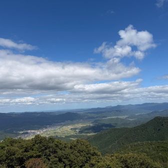 向こうはうっすら海が見えてる