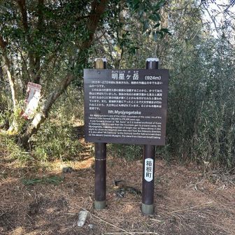 明星ヶ岳は展望なし。