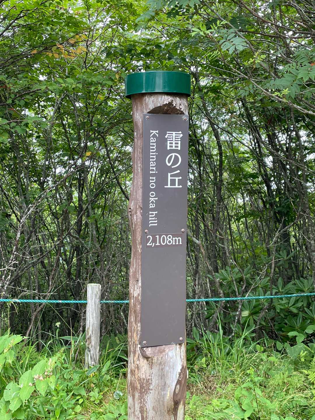 池ノ平湿原入口-雷の丘-雲上の丘-見晴岳-三方ヶ峰 周回コースの写真
