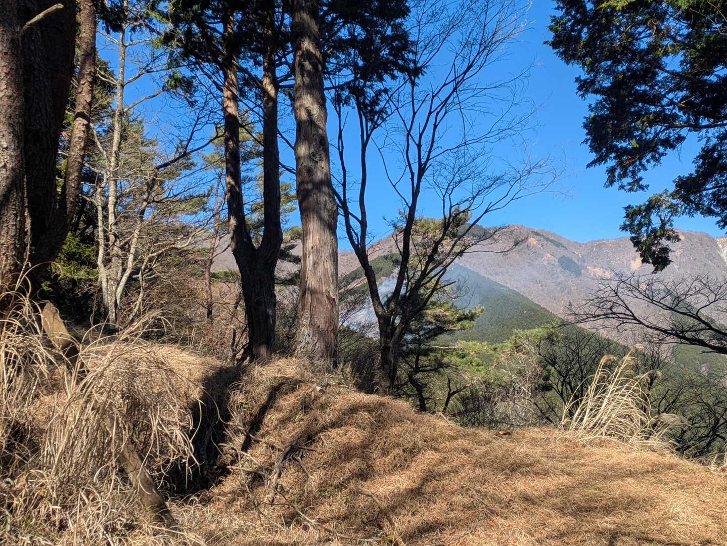 駒止茶屋を少し登ったところから
煙が見えました