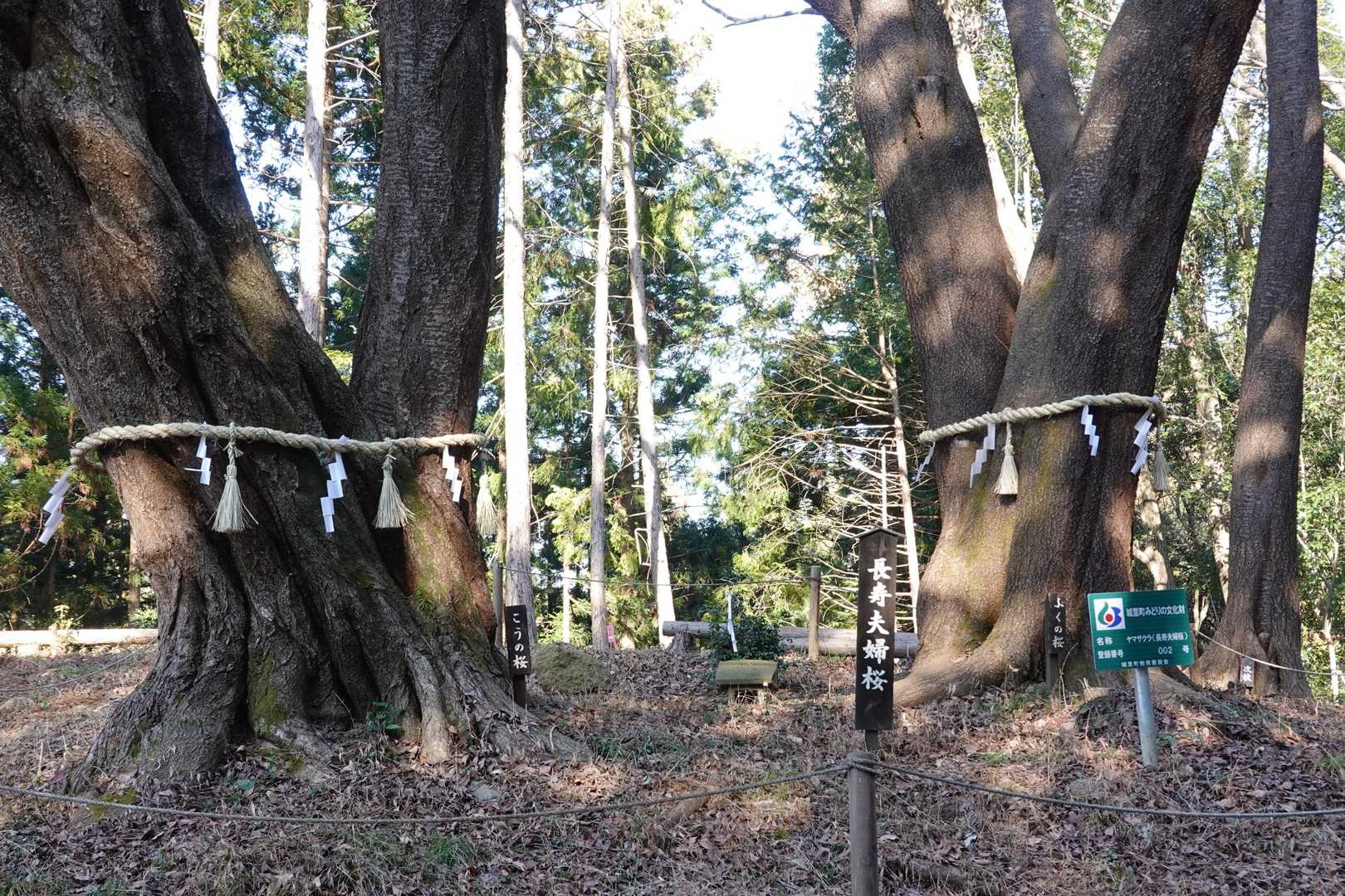 赤沢富士登山口-赤沢富士-白山-白山神社登山口 周回コースの写真