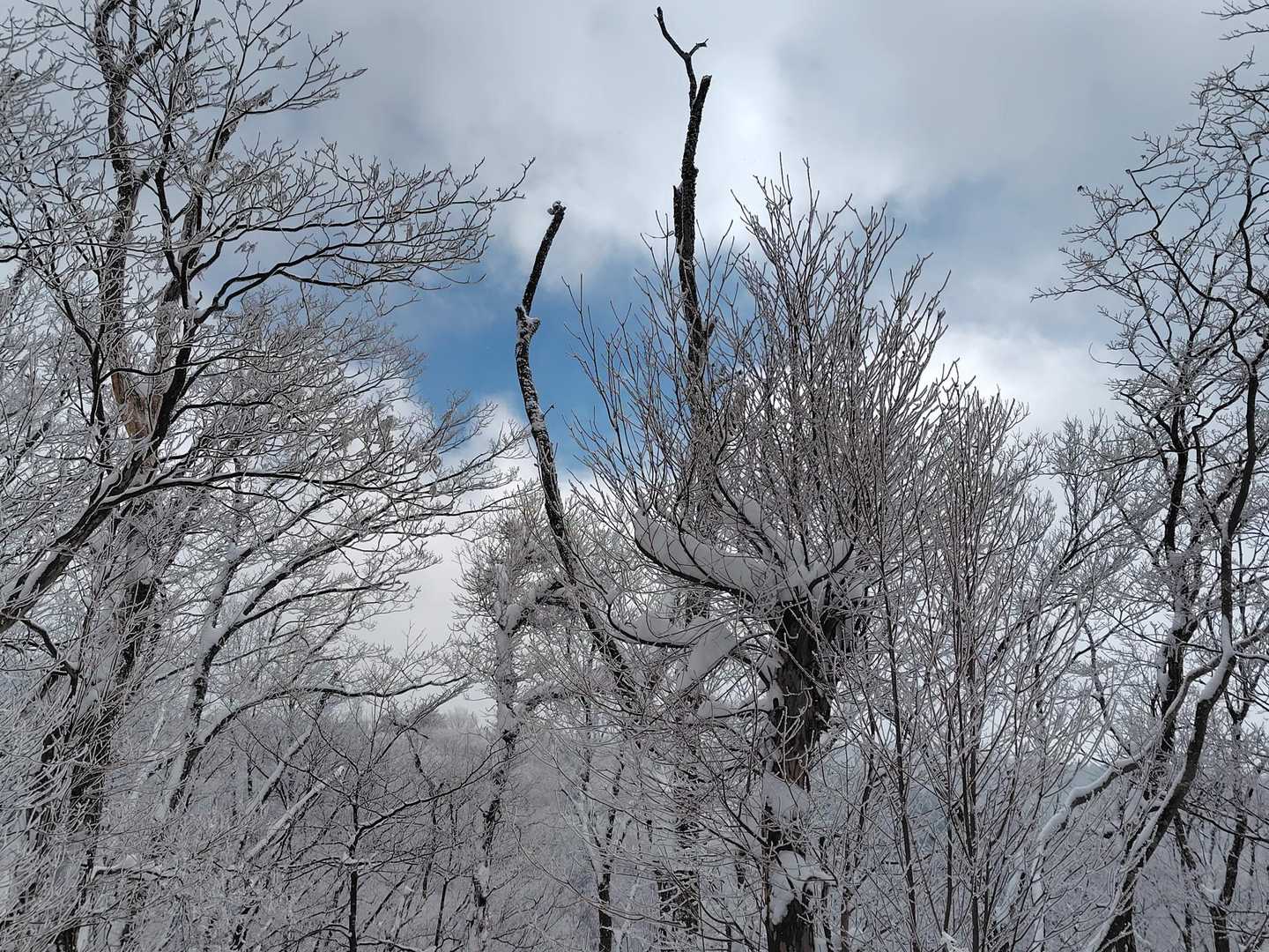 15. 金剛山の写真