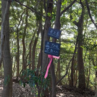 天上嶽　11/23⛰️