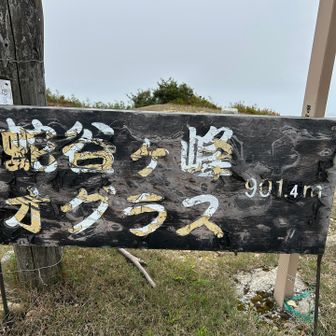 ｵｸﾞﾗｽ？