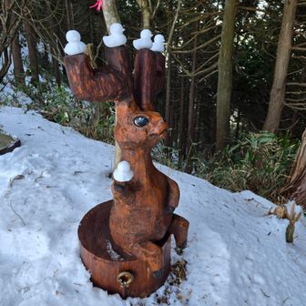 最後の稜線に出るまでの急登がキツイ💧。稜線に出たら御坂峠です。ここにもアート(鹿さん)とアヒルさんが笑