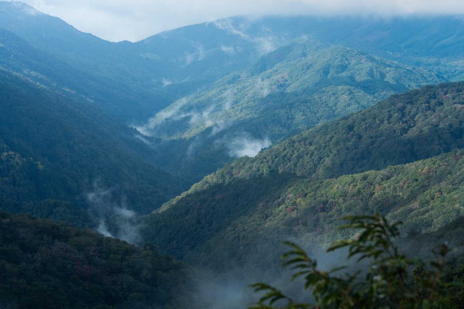 雨上がり山も呼吸してる⛰️