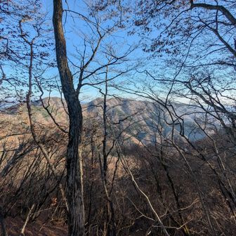 中央が赤鞍の盟主、赤鞍ヶ岳（あかくらがたけ）