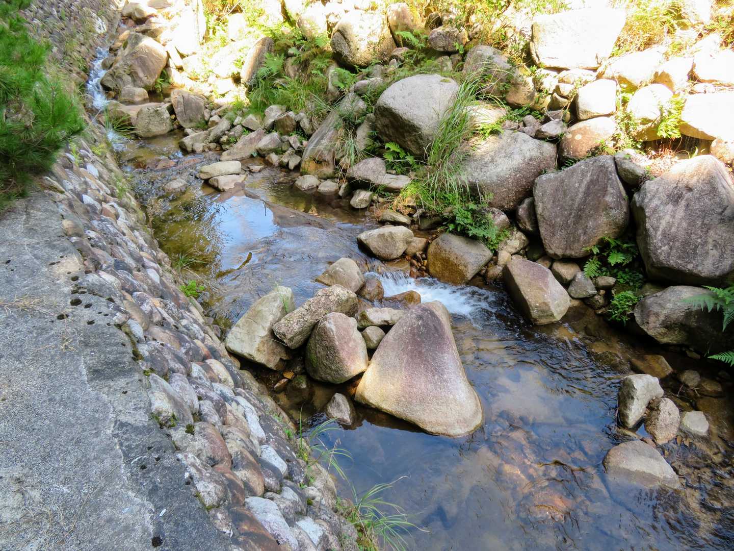 渡れそうな所を探しながら戻る