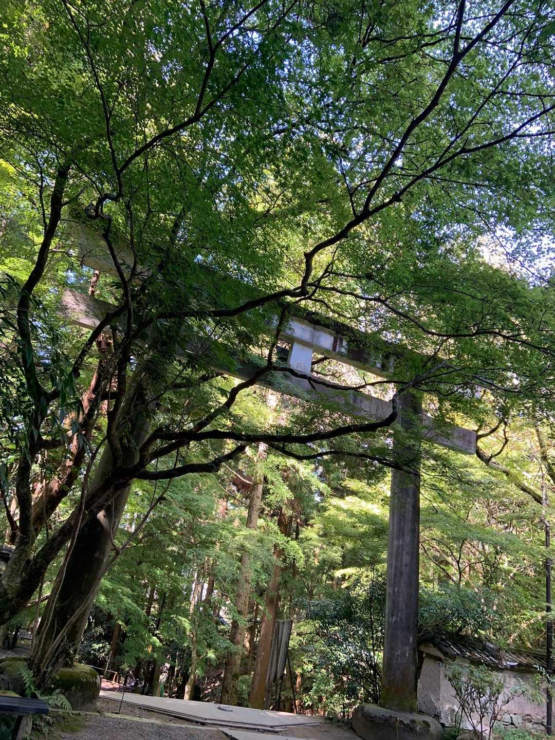 逆回りで到着。今度はこちらから行きましょう