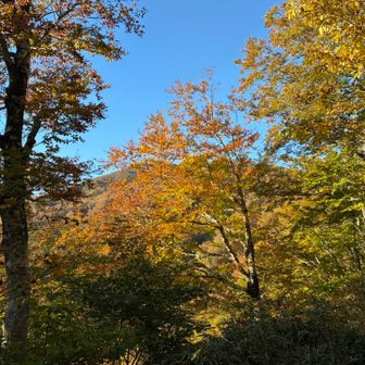 古寺山へ向かいます！