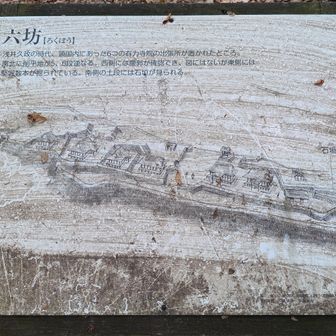 領国内の主だった寺院の出張所が置かれたようです。