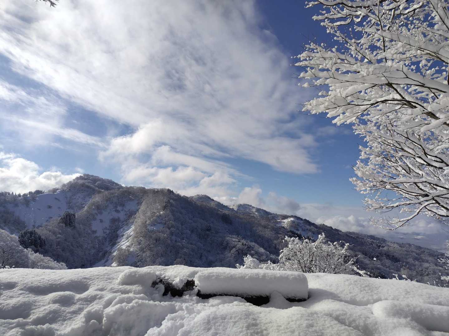 何なにナニィ🤩💙
まさかの青空😆