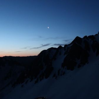 奄美の青い鳥、ルリカケス