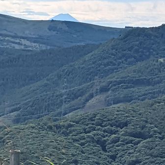 富士山が！はっきりと見えた。感動です。