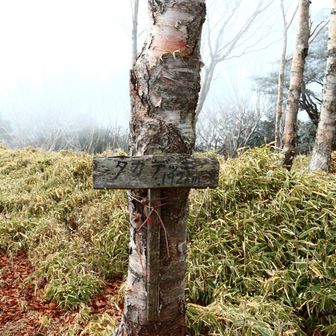 今日の自分にとっては地獄の登りだったタカデッキ。
何度聞いても高ボッチでしか覚えられない。