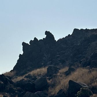 ゴリラ岩🦍🪨
横顔ゴリラはなんだかスーパーマリオに出てきそう😳