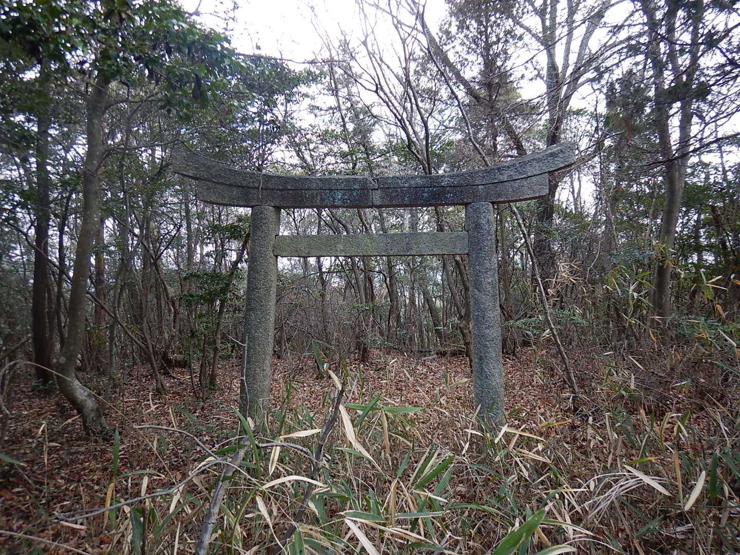 鳥居もありましたが、そちらには進めそうにありません