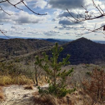 アンテナからの下り、さくさく行きます