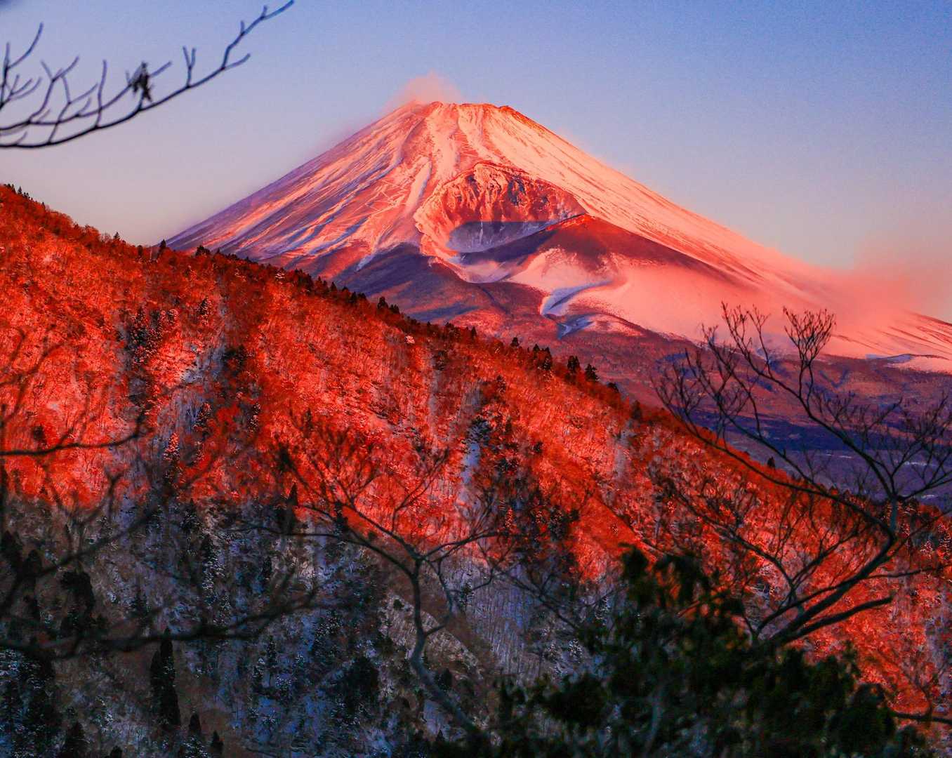 赤い😍
間に合って良かった