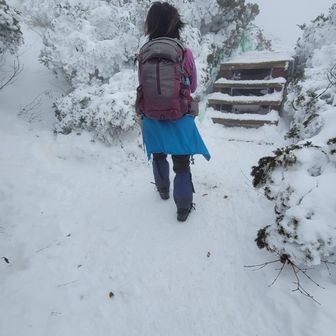 階段で暑かって(￣▽￣;)
帽子🧢もとってしまい
まだシャツ👔だけの私