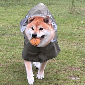 キャッチボールが上手👏👏足も速い🦵👏👏