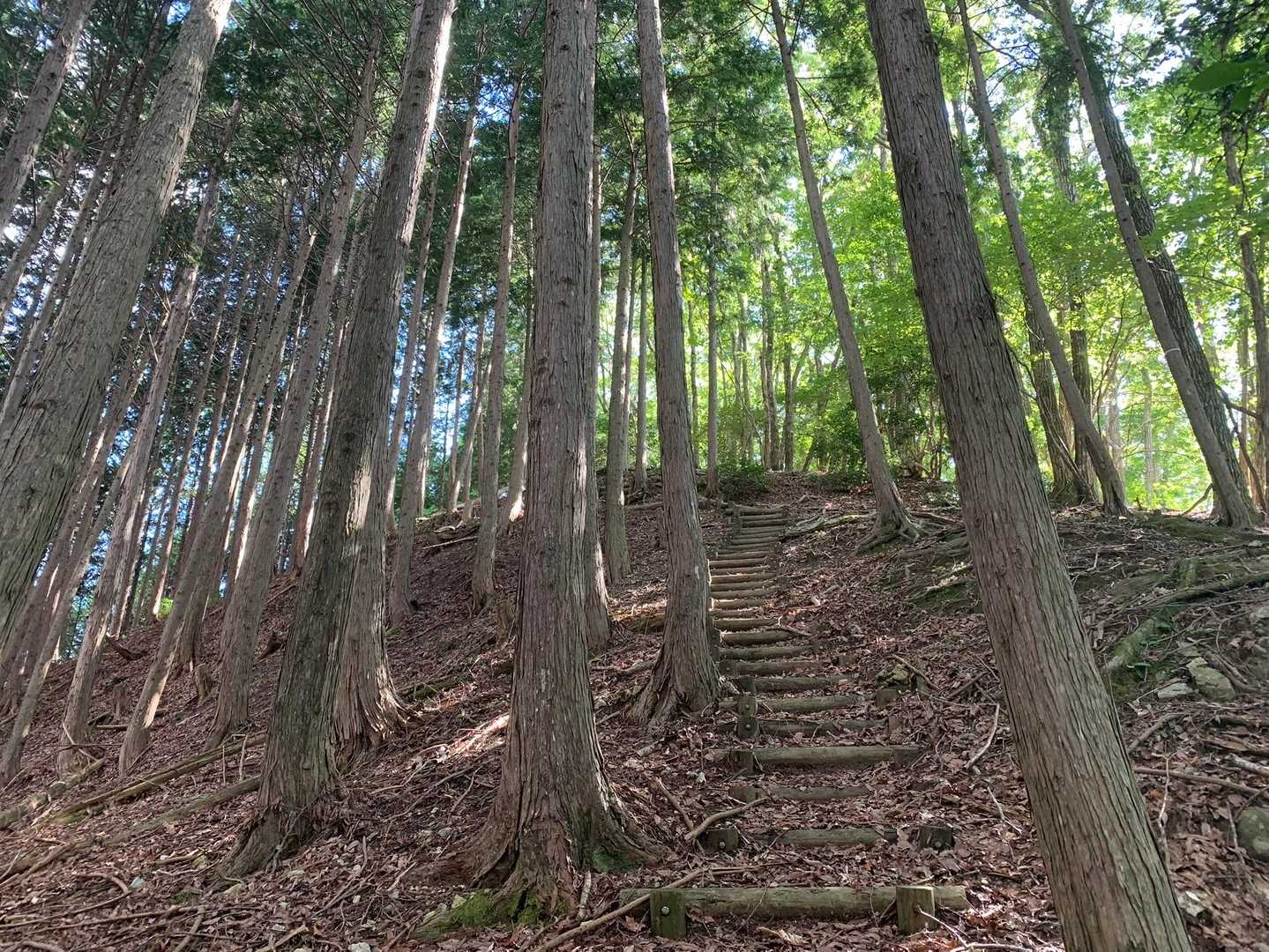 山頂間近‼️
階段キツいわー💦