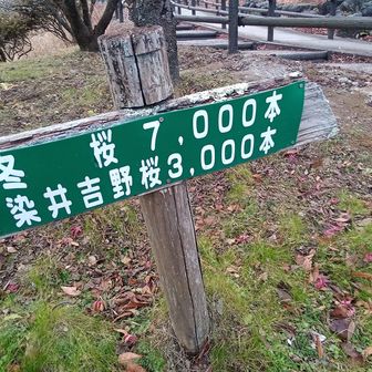 すごいけどほんとかな？