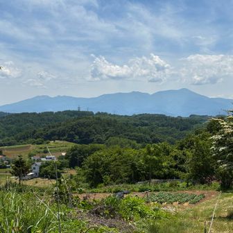 山名は八ヶ岳が見えるからか