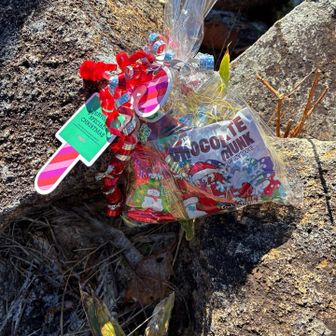 ともちさんからの差し入れ