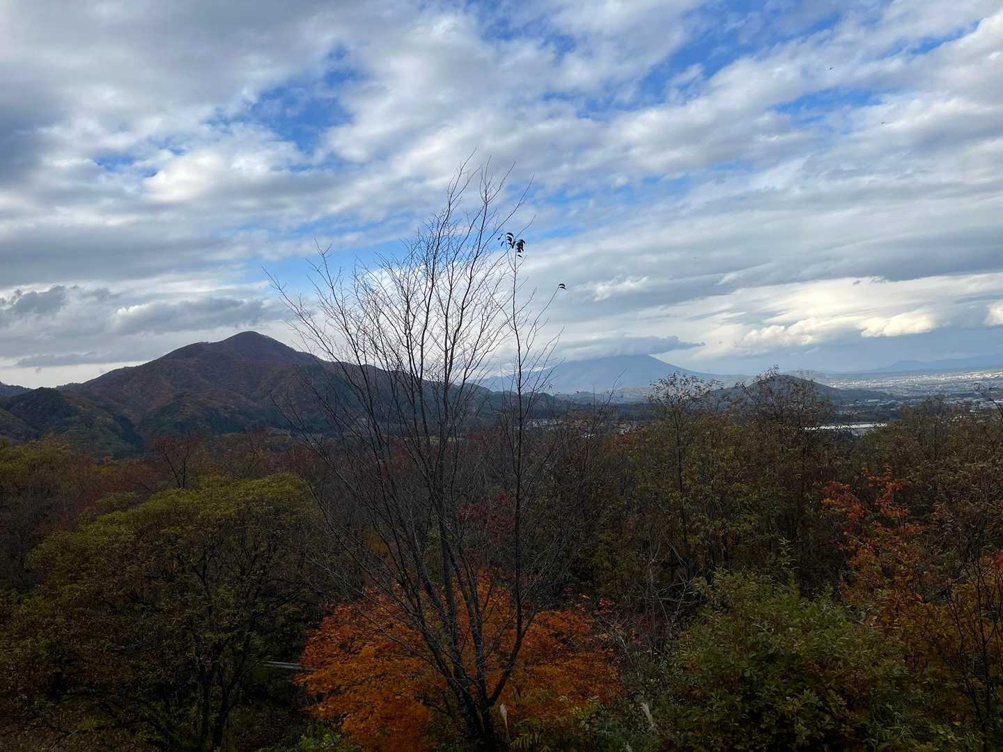城内山 往復コースの写真