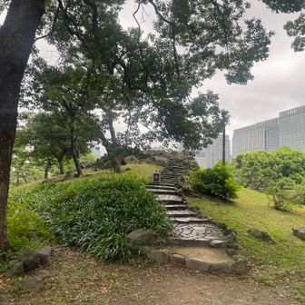 三笠山