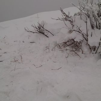 少し掘り起こしましたが、剣ヶ峰のプレート見つからず・・・🫡

どこに行った

