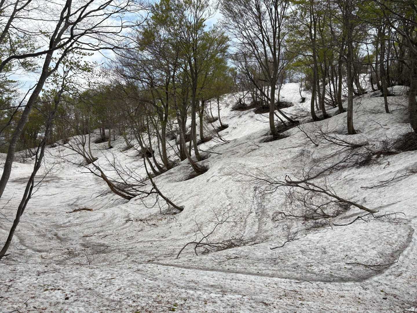 前山-白兀山-蛇尾山-夕霧峠-奥医王山 周回コースの写真