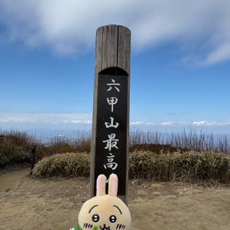 うさぎで峰を隠して、六甲山最高です🐰