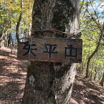 矢平山到着